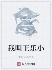 我叫王乐小